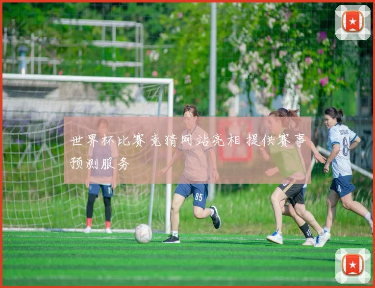 世界杯比赛竞猜网站亮相 提供赛事预测服务