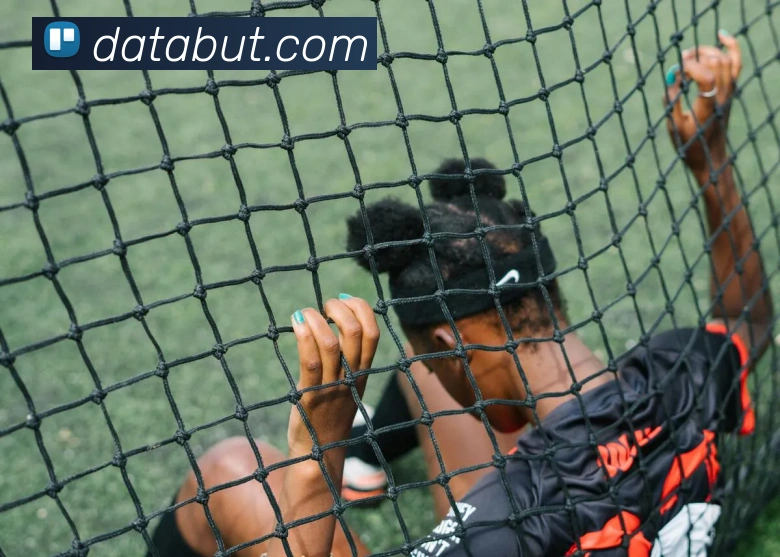 App Interface Preview