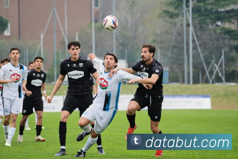 数据防护可视化